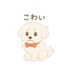 犬のしぐさと気持ち（個別スタンプ：11）