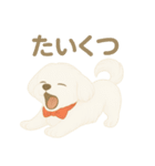 犬のしぐさと気持ち（個別スタンプ：14）