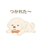 犬のしぐさと気持ち（個別スタンプ：15）