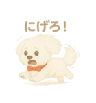 犬のしぐさと気持ち（個別スタンプ：16）