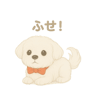 犬のしぐさと気持ち（個別スタンプ：19）