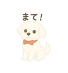 犬のしぐさと気持ち（個別スタンプ：20）