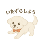犬のしぐさと気持ち（個別スタンプ：24）