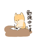 ゆる敬語3しばちゃん（個別スタンプ：3）
