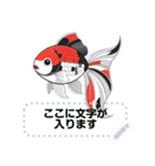 金魚とビー玉  夏のメッセージスタンプ（個別スタンプ：3）