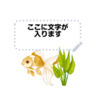 金魚とビー玉  夏のメッセージスタンプ（個別スタンプ：8）