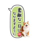 ねこ写真❤たてにながーい★吹き出し★BIG（個別スタンプ：5）