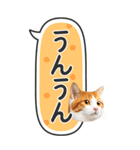 ねこ写真❤たてにながーい★吹き出し★BIG（個別スタンプ：8）