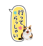 ねこ写真❤たてにながーい★吹き出し★BIG（個別スタンプ：22）