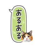 ねこ写真❤たてにながーい★吹き出し★BIG（個別スタンプ：31）