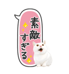 ねこ写真❤たてにながーい★吹き出し★BIG（個別スタンプ：32）