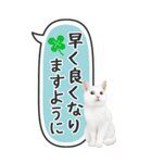 ねこ写真❤たてにながーい★吹き出し★BIG（個別スタンプ：33）