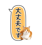 ねこ写真❤たてにながーい★吹き出し★BIG（個別スタンプ：35）
