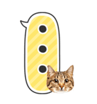 ねこ写真❤たてにながーい★吹き出し★BIG（個別スタンプ：36）
