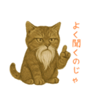 しぶねこ、ひげにゃん1（個別スタンプ：1）