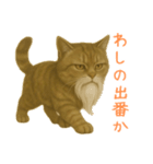 しぶねこ、ひげにゃん1（個別スタンプ：5）
