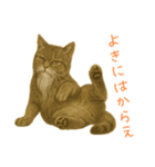 しぶねこ、ひげにゃん1（個別スタンプ：6）