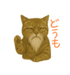 しぶねこ、ひげにゃん1（個別スタンプ：7）