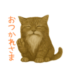 しぶねこ、ひげにゃん1（個別スタンプ：8）