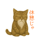 しぶねこ、ひげにゃん1（個別スタンプ：9）