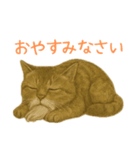 しぶねこ、ひげにゃん1（個別スタンプ：10）