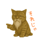 しぶねこ、ひげにゃん1（個別スタンプ：12）
