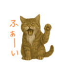 しぶねこ、ひげにゃん1（個別スタンプ：13）