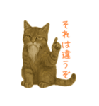 しぶねこ、ひげにゃん1（個別スタンプ：15）
