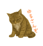 しぶねこ、ひげにゃん1（個別スタンプ：16）