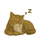 しぶねこ、ひげにゃん1（個別スタンプ：17）