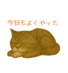 しぶねこ、ひげにゃん1（個別スタンプ：18）