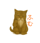 しぶねこ、ひげにゃん1（個別スタンプ：20）