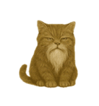 しぶねこ、ひげにゃん1（個別スタンプ：21）