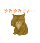 しぶねこ、ひげにゃん1（個別スタンプ：25）