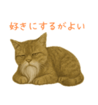 しぶねこ、ひげにゃん1（個別スタンプ：27）