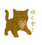 しぶねこ、ひげにゃん1（個別スタンプ：29）