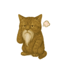 しぶねこ、ひげにゃん1（個別スタンプ：31）