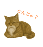 しぶねこ、ひげにゃん1（個別スタンプ：34）