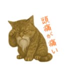 しぶねこ、ひげにゃん1（個別スタンプ：35）