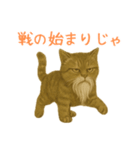 しぶねこ、ひげにゃん1（個別スタンプ：37）