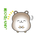 nobobi おとなしそうな くまさん（個別スタンプ：11）