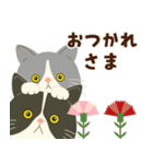 【母の日】ハチワレコンビ【ありがとう】（個別スタンプ：12）