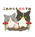 【母の日】ハチワレコンビ【ありがとう】（個別スタンプ：15）