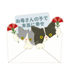 【母の日】ハチワレコンビ【ありがとう】（個別スタンプ：16）