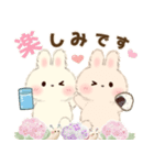 飛びだす♡もふリチーうさちゃん3（個別スタンプ：13）