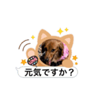 m4516（個別スタンプ：2）