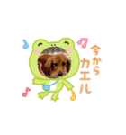 m4516（個別スタンプ：4）