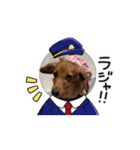 m4516（個別スタンプ：7）