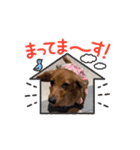 m4516（個別スタンプ：10）
