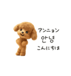 もこもこトイプーと♡韓国語でおしゃべり（個別スタンプ：5）